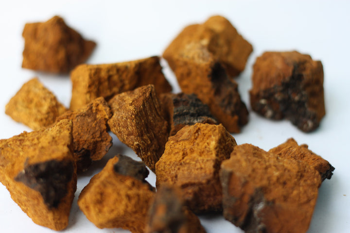 What is Chaga and What Makes it So Good for You?