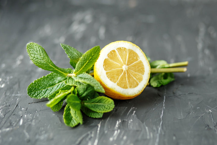Lemon Balm for Sleep: The Benefits and Uses
