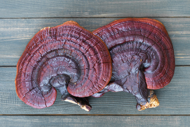 Reishi for Anti-Aging in Skincare