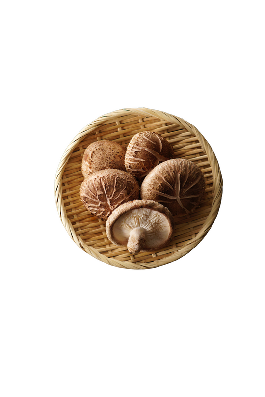 Shiitake Extract